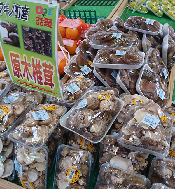 マキノピックランド
お買い物商品券1000円分