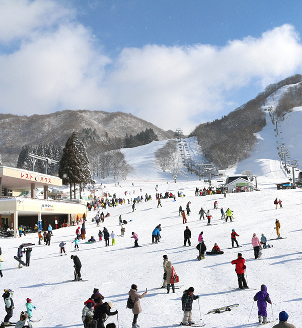 グランスノー奥伊吹 リフト御優待券(1日券)ペア